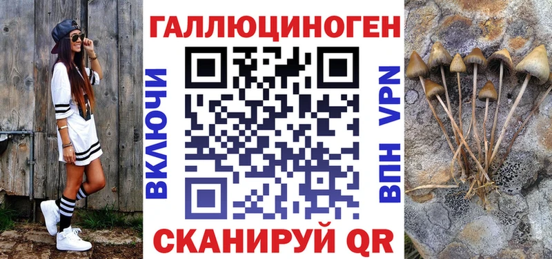 Псилоцибиновые грибы Psilocybine cubensis  Тосно 