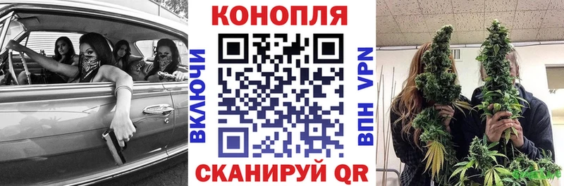 Канабис White Widow KRAKEN ССЫЛКА Тосно